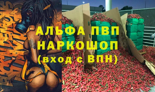 мяу мяу мука Сафоново