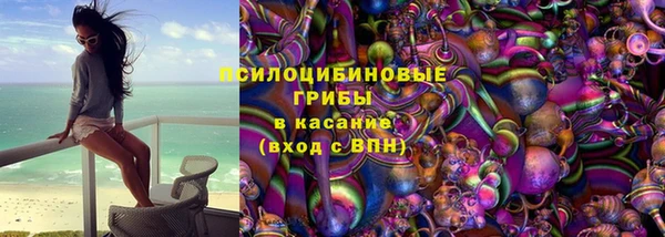 дживик Бронницы