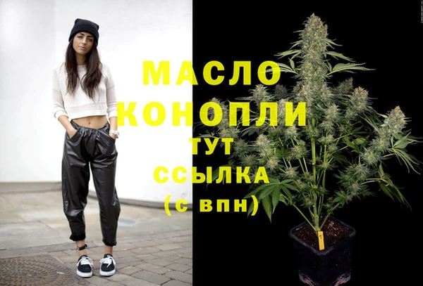 дживик Бронницы