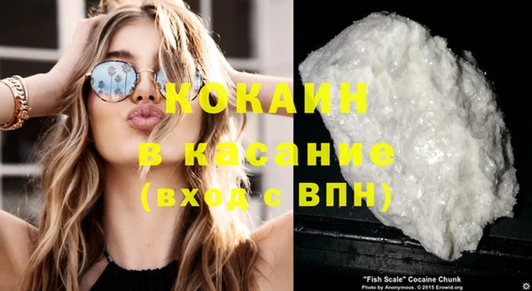 дживик Бронницы