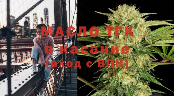 дживик Бронницы