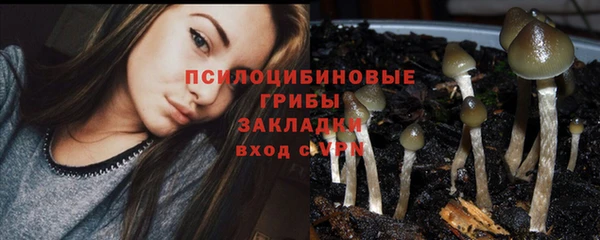каннабис Бородино
