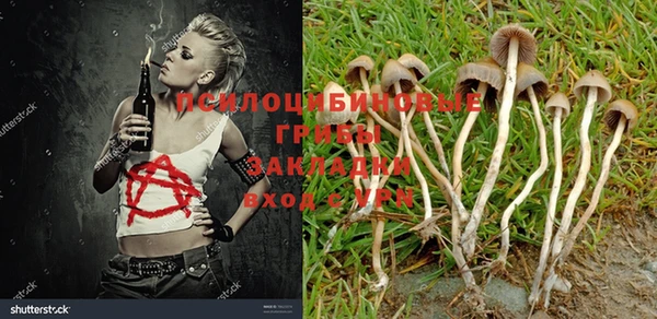 каннабис Бородино